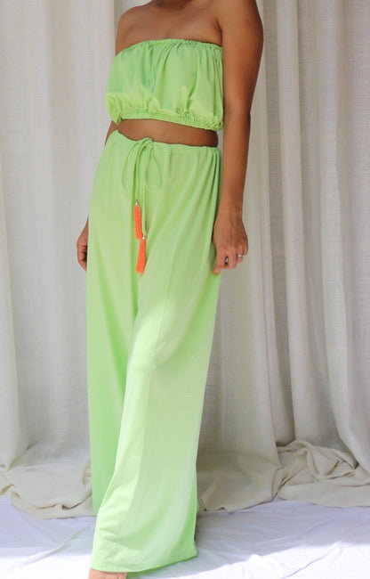 Ari Pant